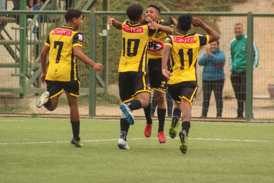 Buena cosecha del FJ AURINEGRO